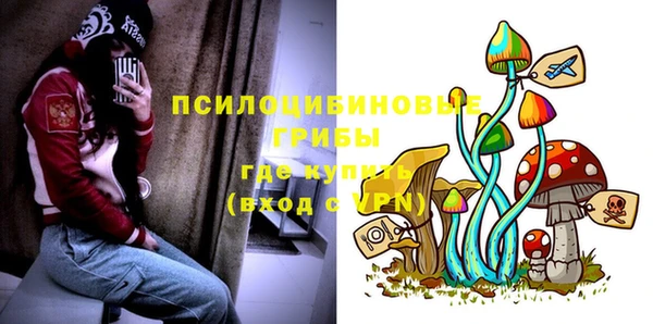 винт Алексин